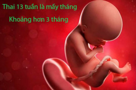 Hình ảnh thai 13 tuần là mấy tháng