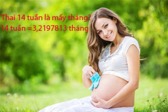 Thai 14 tuần là bao nhiêu tháng