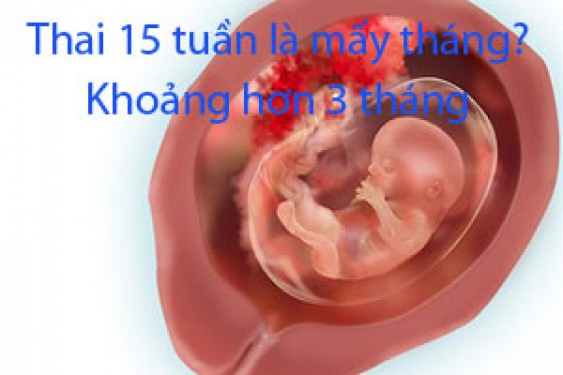 Tư vấn thai 15 tuần là mấy tháng