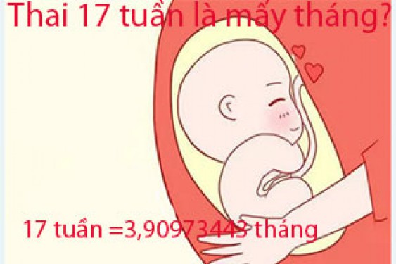 Thai 17 tuần là mấy tháng? Giải đáp từ bác sĩ