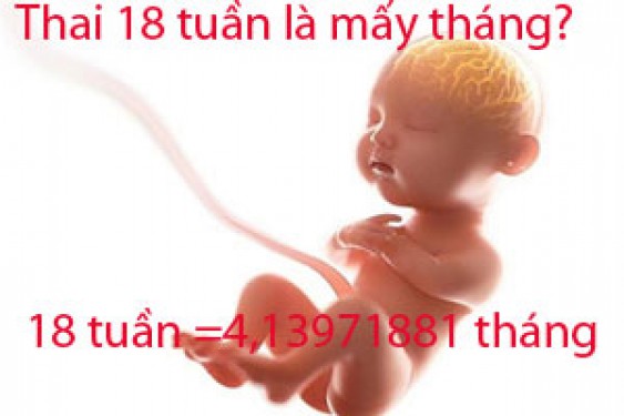 Bầu 18 tuần là mấy tháng, hình ảnh, cân nặng