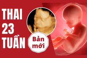 Bầu 23 tuần là bao nhiêu tháng, hình ảnh