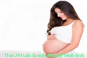 Thai 24 tuần bao nhiêu tháng