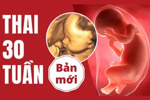 Thai 30 tuần là bao nhiêu tháng chỉ số cân nặng