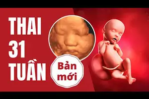 Mang thai 31 tuần là mấy tháng hình ảnh