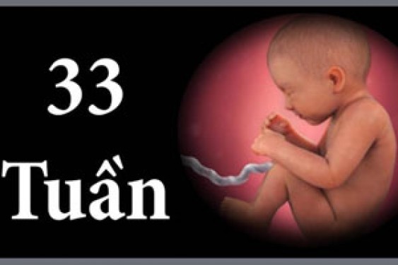 Bầu 33 tuần là mấy tháng chỉ số cân nặng