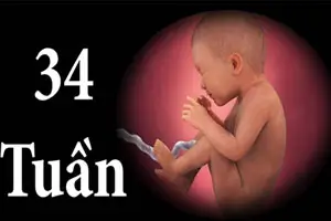 Mang thai 34 tuần là bao nhiêu tháng chỉ số hình ảnh