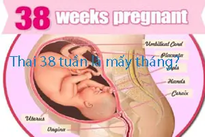  Thai 38 tuần là mấy tháng [Bác sĩ giải đáp]