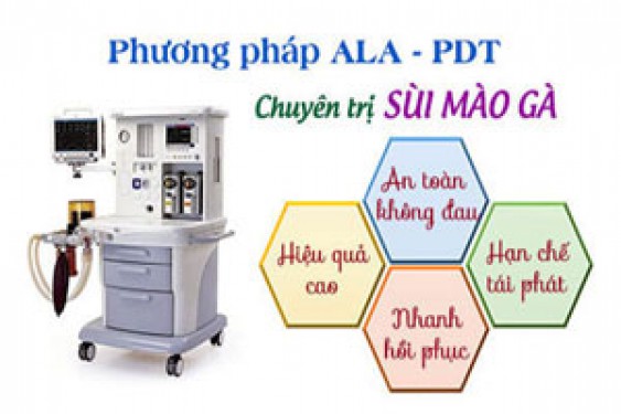 12 Cách chữa bệnh sùi mào gà hiệu quả tốt nhất tại nhà