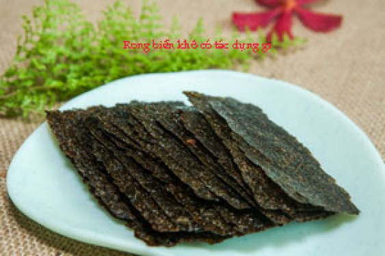 Rong biển khô có tác dụng gì? mua ở đâu