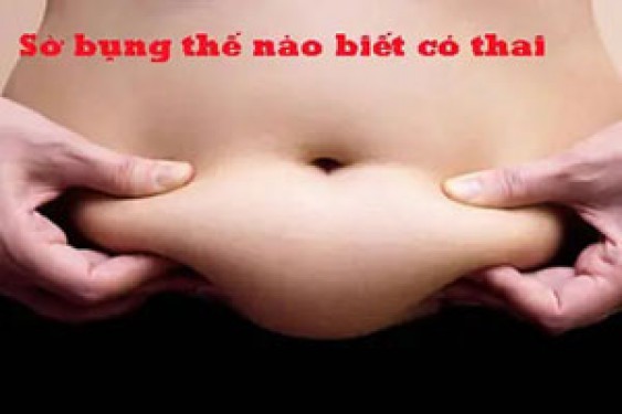 Sờ bụng thế nào biết có thai tuần đầu, cách nhận biết