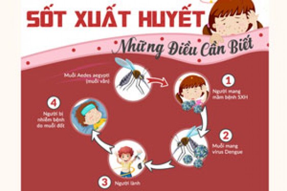 THÔNG ĐIỆP TRUYỀN THÔNG PHÒNG BỆNH SỐT XUẤT HUYẾT