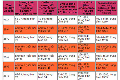 Chỉ số siêu âm thai tuần 28