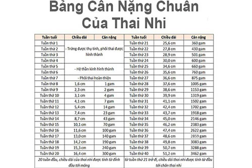 Chỉ số thai 33 tuần