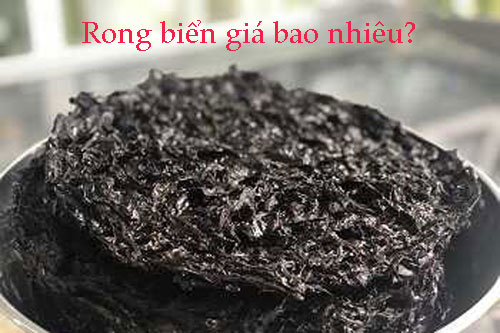 Rong biển giá bao nhiêu