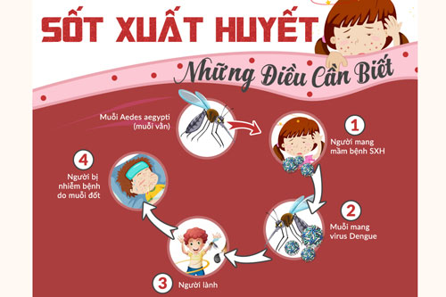 THÔNG ĐIỆP TRUYỀN THÔNG PHÒNG BỆNH SỐT XUẤT HUYẾT
