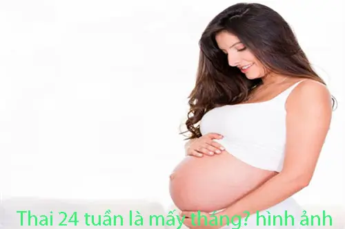 Thai 24 tuần là mấy tháng, chỉ số cân nặng