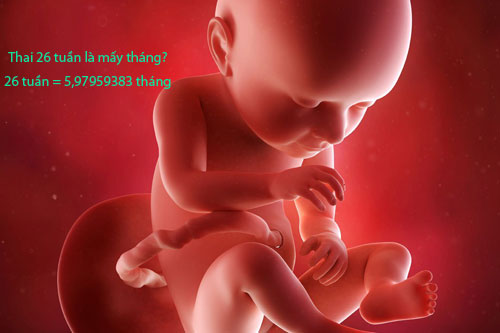 Thai 26 tuần là mấy tháng?