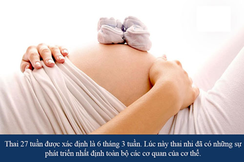 Thai 27 tuần là mấy tháng