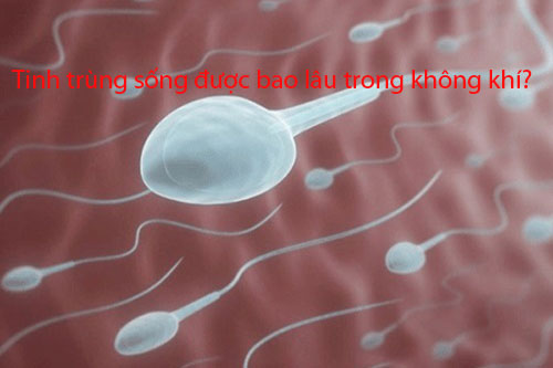 Tinh trùng sống được bao lâu trong không khí
